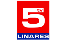 TV 5 (Linares)